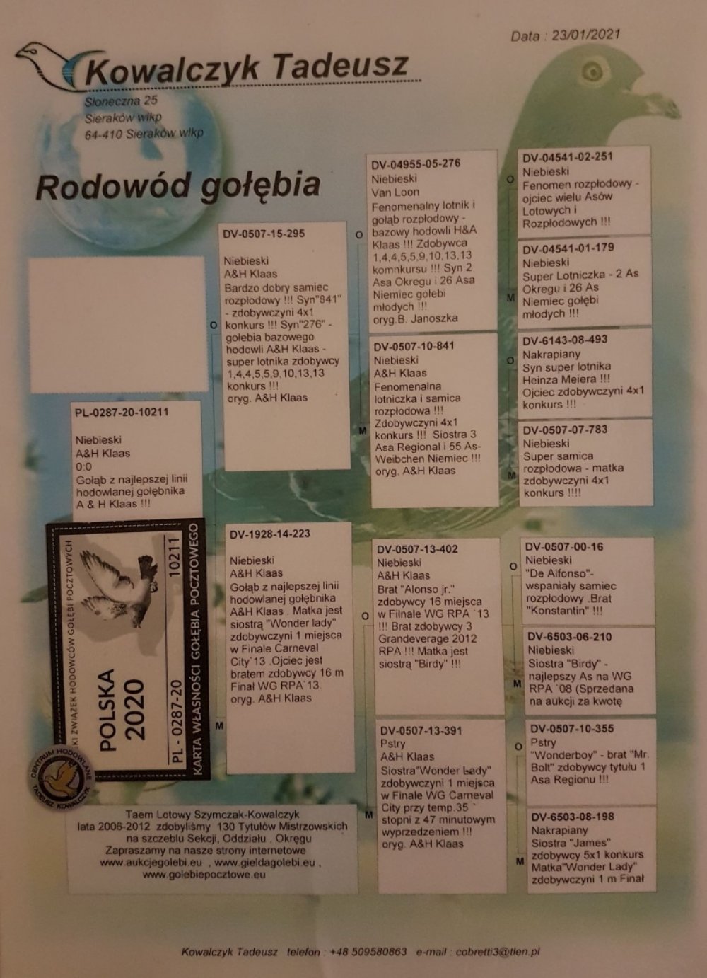 ORG. TADEUSZ KOWALCZYK | WNUK SUPER LOTNIKA "VAN LOON 276" - ZDOBYŁ M.IN.: 1, 4, 4, 5, 5, 9, 10, 13, 13..| WNUK SUPER LOTNICZKI " 841" A. & H. KLAAS - ZDOBYWCZYNI 4X 1KONKURS! WNUK "391" - SIOSTRA "WONDER LADY" A. & H. KLAAS - 1 MIEJSCE Z FINAŁU WG CARNEV