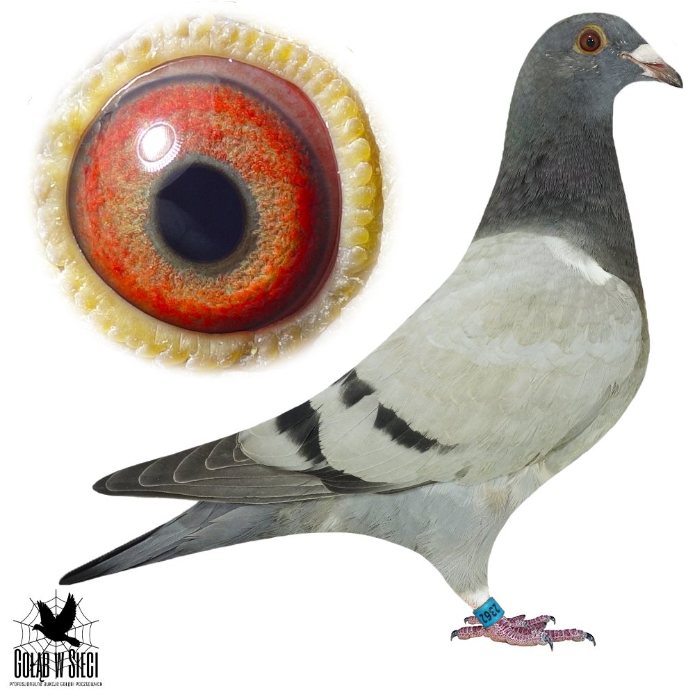 DZIECKO 10928