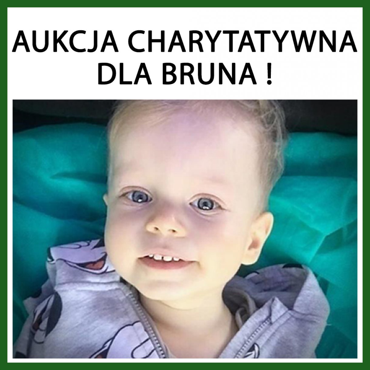 AUKCJA CHARYTATYWNA DLA BRUNA