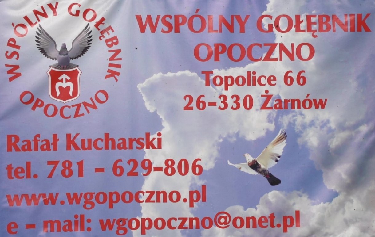 WG OPOCZNO