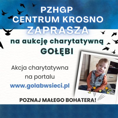 Aukcja Charytatywna - Oddział Krosno Centrum dla Adasia